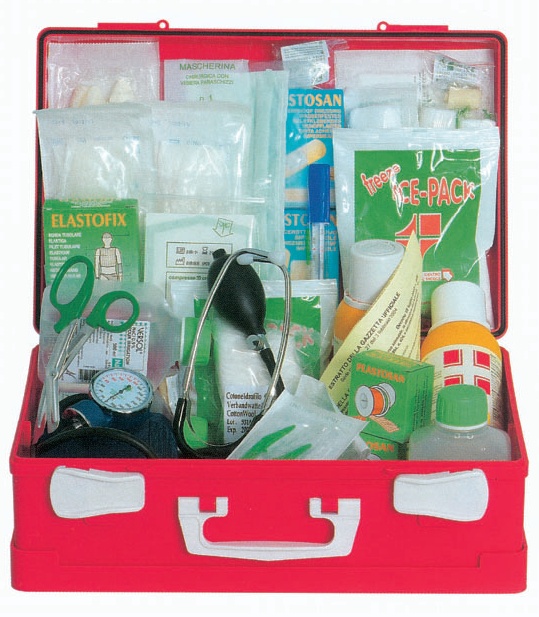 FIRST AID CASE - LARGE KIT - plastic case