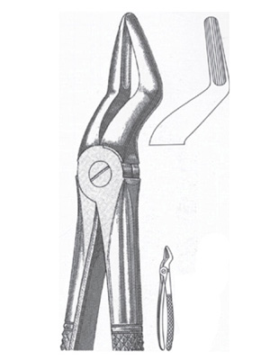 EXTRACTING FORCEPS - upper (roots curved)