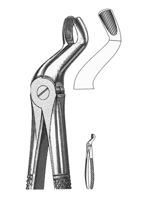 EXTRACTING FORCEPS - upper (third molars)