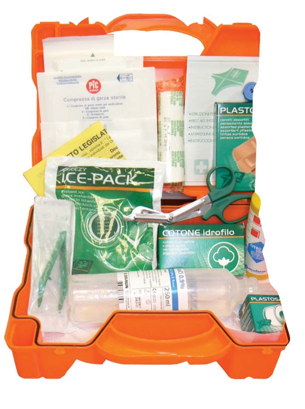 FIRST AID CASE - SMALL KIT - plastic case